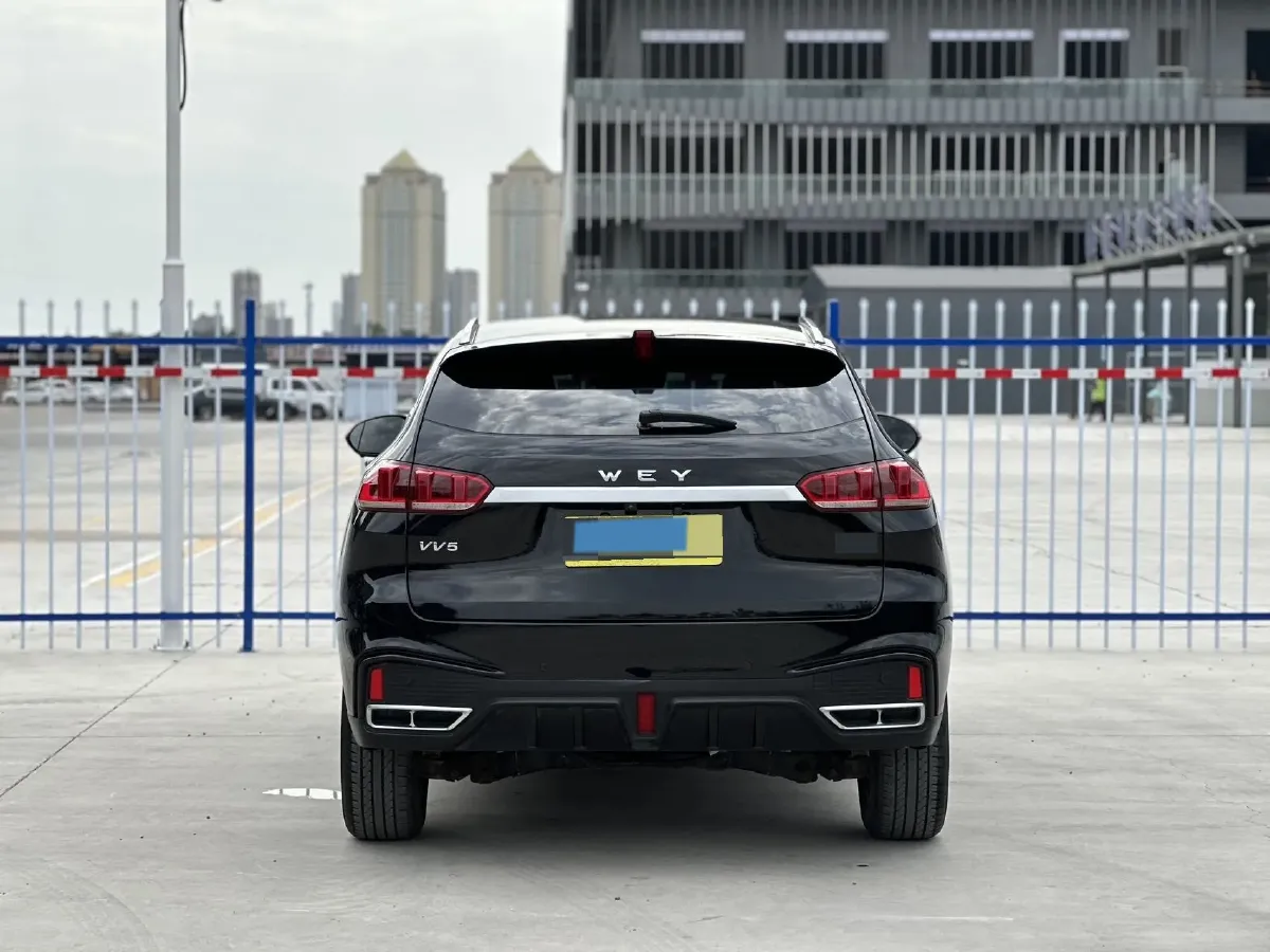 2020 WEY VV5 1.5T 171HP L4 7DCT,autocango,china used car exporter,china ev exporter,chinese used car exporter,chinese used ev exporter