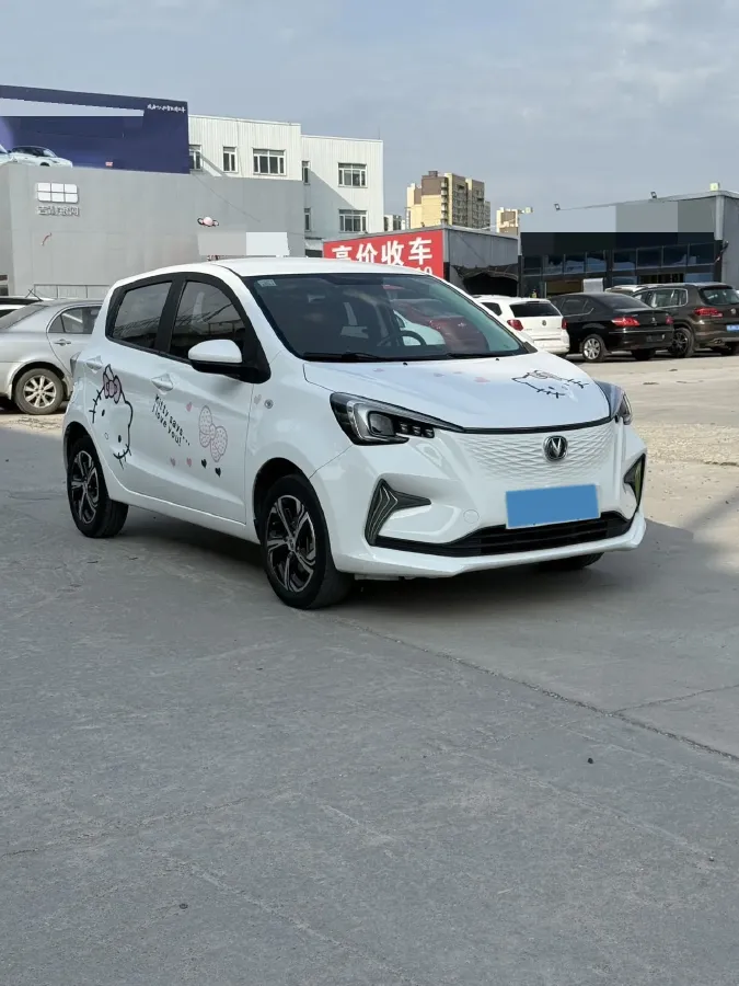 2020 ChangAn BenBen E-Star BEV 32.2KWH,autocango,china used car exporter,china ev exporter,chinese used car exporter,chinese used ev exporter