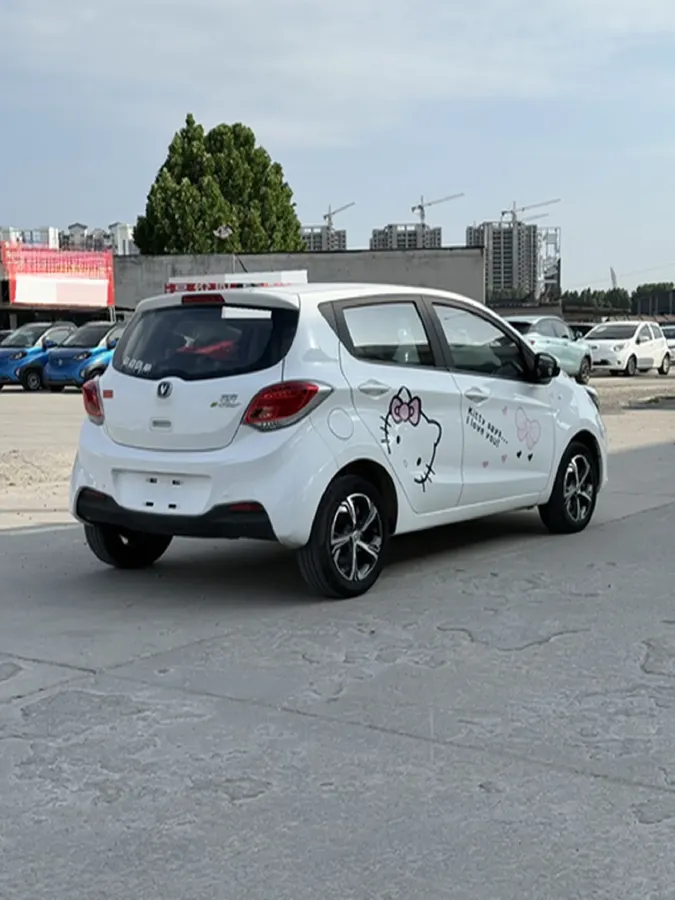 2020 ChangAn BenBen E-Star BEV 32.2KWH,autocango,china used car exporter,china ev exporter,chinese used car exporter,chinese used ev exporter