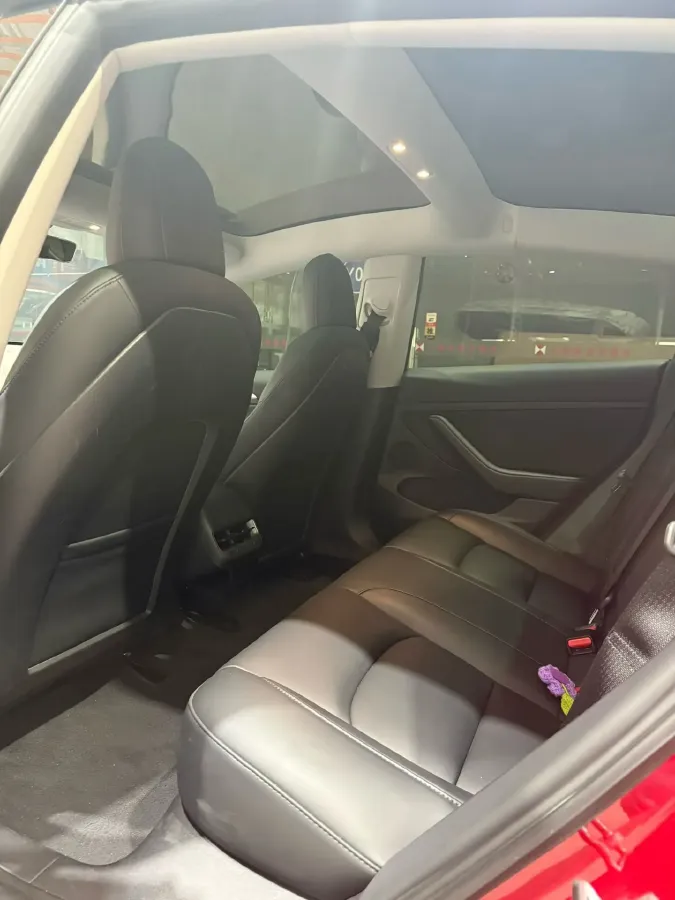 2021 Tesla Model 3 BEV 55KWH,autocango,china used car exporter,china ev exporter,chinese used car exporter,chinese used ev exporter