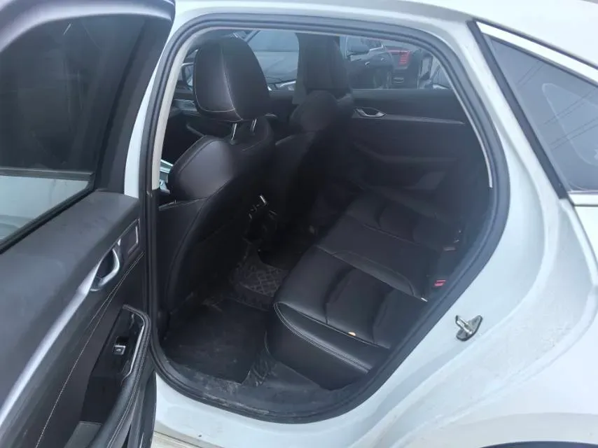 2020 Geely Tugella 2.0T 238HP L4 8AT,autocango,china used car exporter,china ev exporter,chinese used car exporter,chinese used ev exporter
