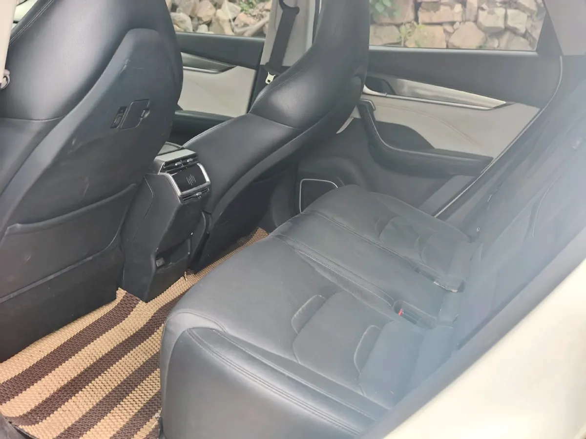 2019 Weltmeister EX5 BEV 69KWH,autocango,china used car exporter,china ev exporter,chinese used car exporter,chinese used ev exporter