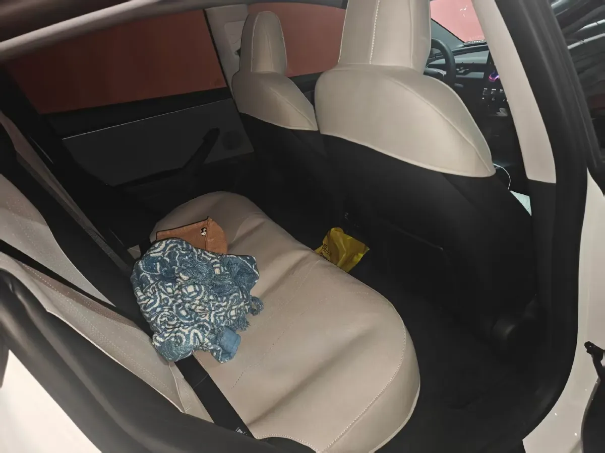 2025 Tesla Model 3 BEV 62.5KWH,autocango,china used car exporter,china ev exporter,chinese used car exporter,chinese used ev exporter