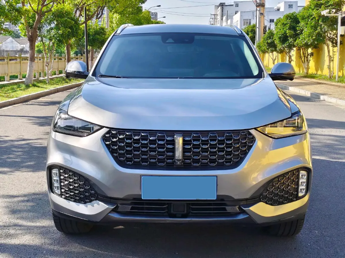 2020 WEY VV6 2.0T 227HP L4 7DCT,autocango,china used car exporter,china ev exporter,chinese used car exporter,chinese used ev exporter