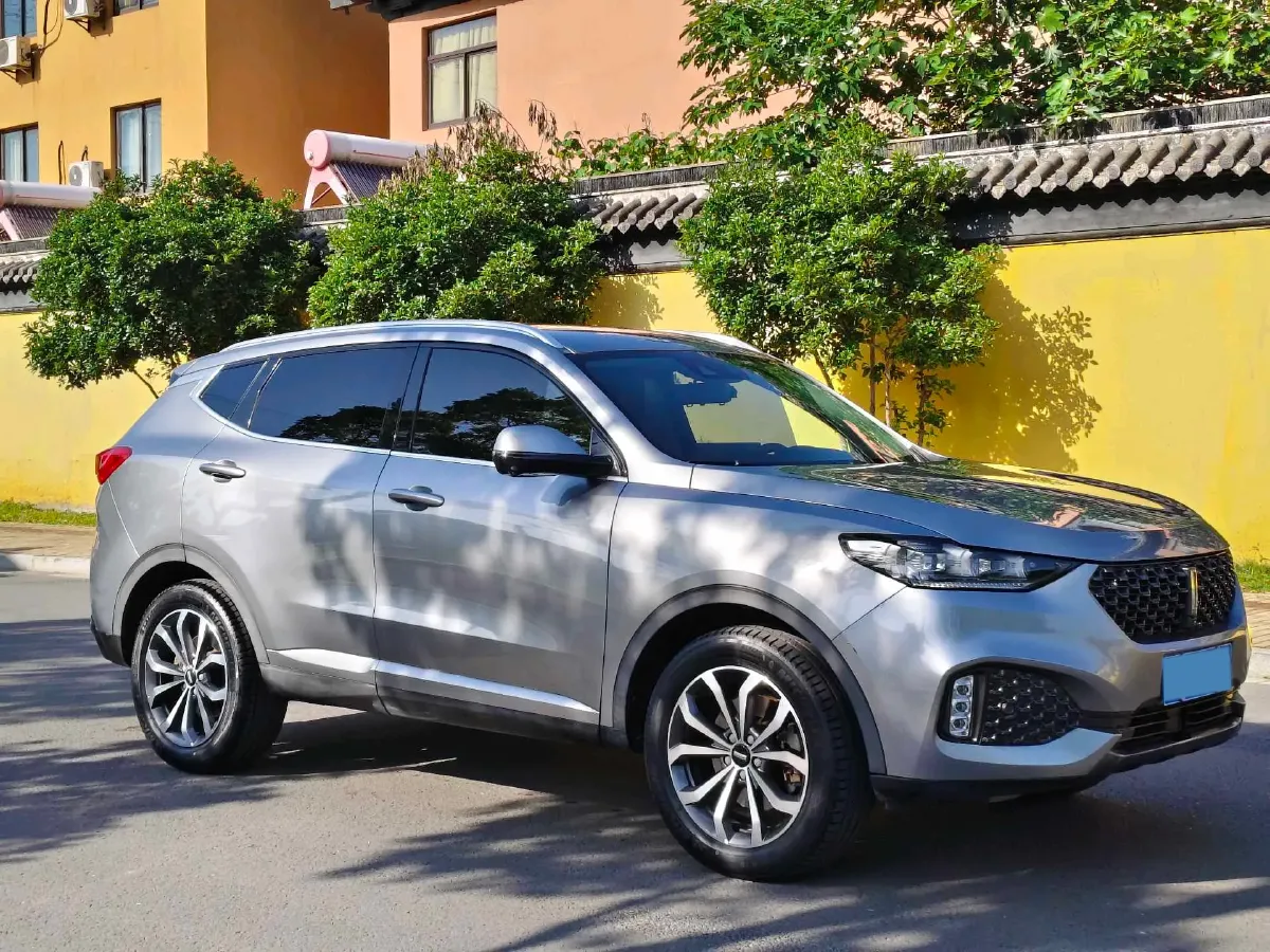 2020 WEY VV6 2.0T 227HP L4 7DCT,autocango,china used car exporter,china ev exporter,chinese used car exporter,chinese used ev exporter