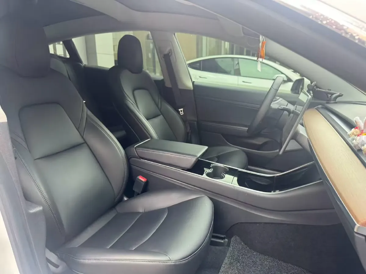 2020 Tesla Model 3 BEV 55KWH,autocango,china used car exporter,china ev exporter,chinese used car exporter,chinese used ev exporter