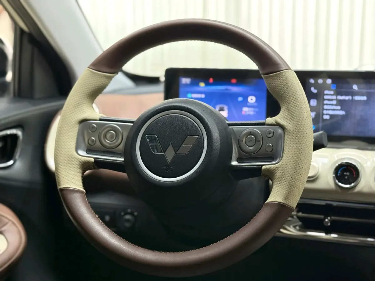 2024 WuLing BinGuo BEV 31.9KWH,autocango,china used car exporter,china ev exporter,chinese used car exporter,chinese used ev exporter