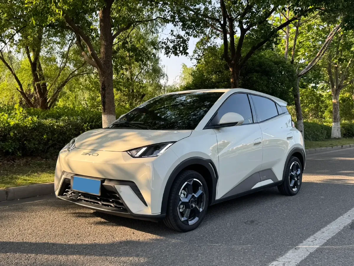 2023 BYD Seagull BEV 30.08KWH,autocango,china used car exporter,china ev exporter,chinese used car exporter,chinese used ev exporter