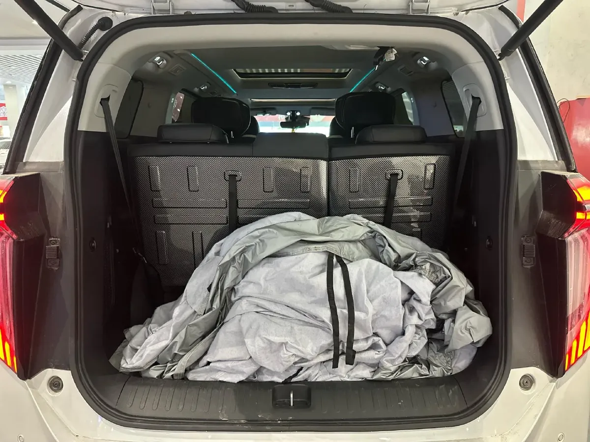 2024 GAC Trumpchi M8 2.0T 252HP L4 8AT,autocango,china used car exporter,china ev exporter,chinese used car exporter,chinese used ev exporter