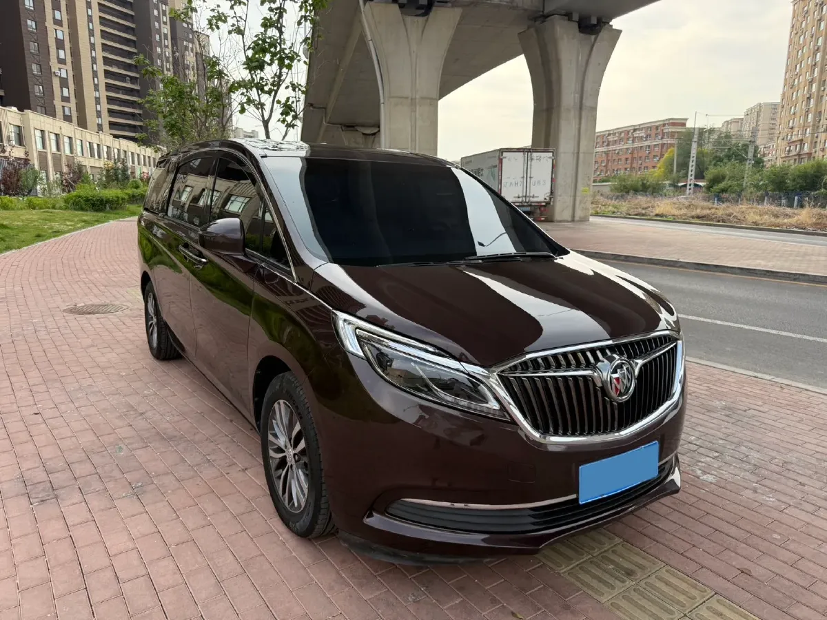 2018 Buick GL8 2.0T 260HP L4 6AT,autocango,china used car exporter,china ev exporter,chinese used car exporter,chinese used ev exporter