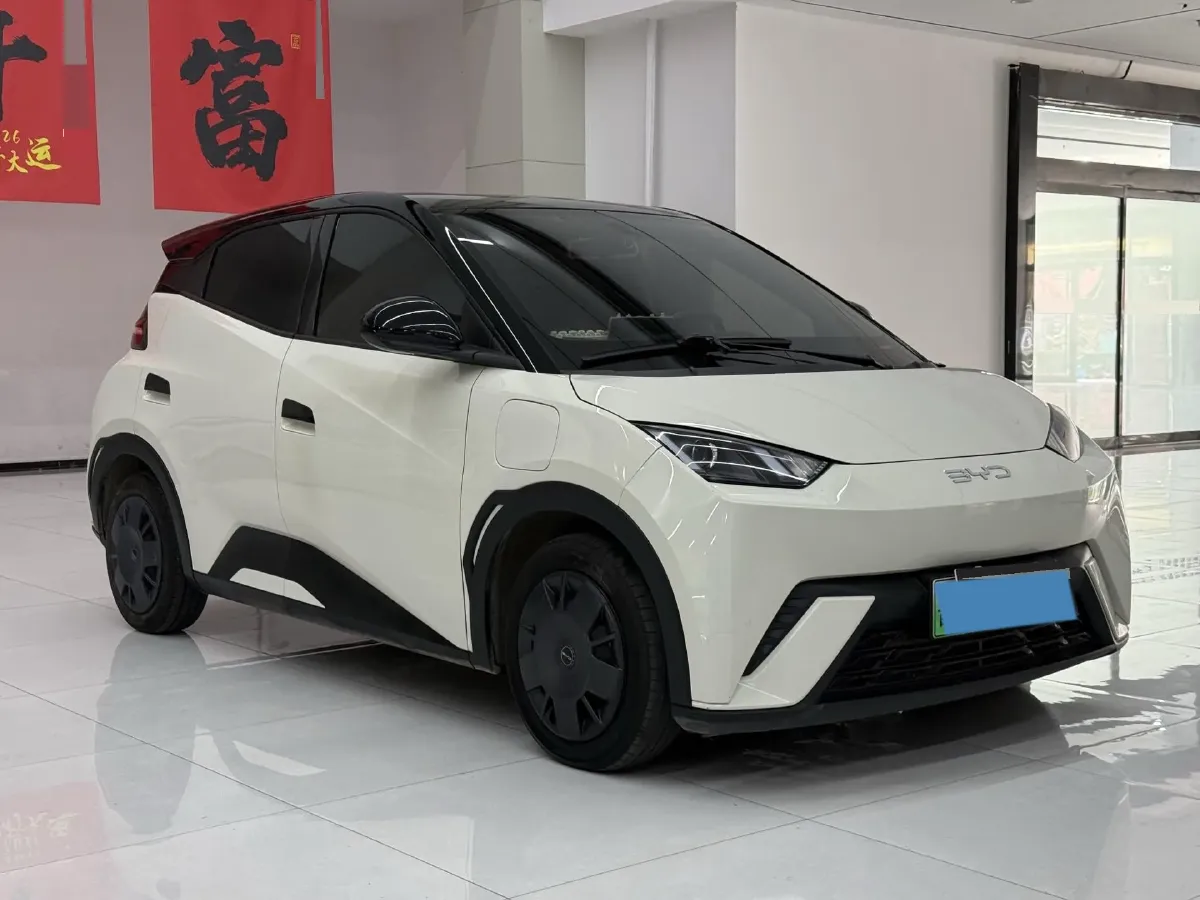 2024 BYD Seagull BEV 30.08KWH,autocango,china used car exporter,china ev exporter,chinese used car exporter,chinese used ev exporter