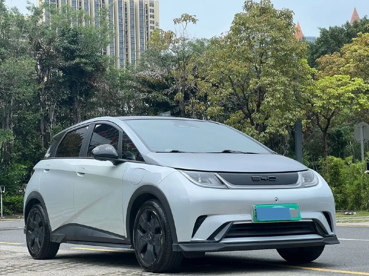 2021 BYD e2 BEV 43.2KWH,autocango,china used car exporter,china ev exporter,chinese used car exporter,chinese used ev exporter