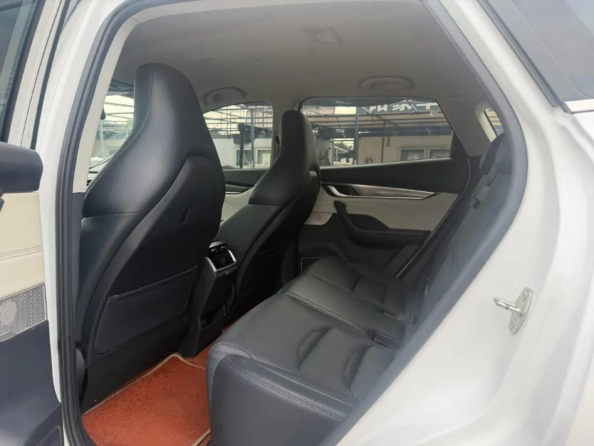 2022 Weltmeister EX5 BEV 52.704KWH,autocango,china used car exporter,china ev exporter,chinese used car exporter,chinese used ev exporter