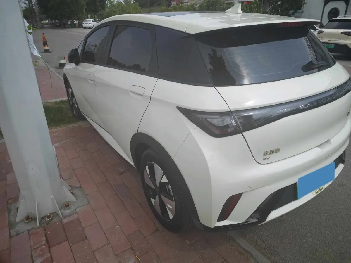 2023 BYD Dolphin BEV 44.928KWH,autocango,china used car exporter,china ev exporter,chinese used car exporter,chinese used ev exporter