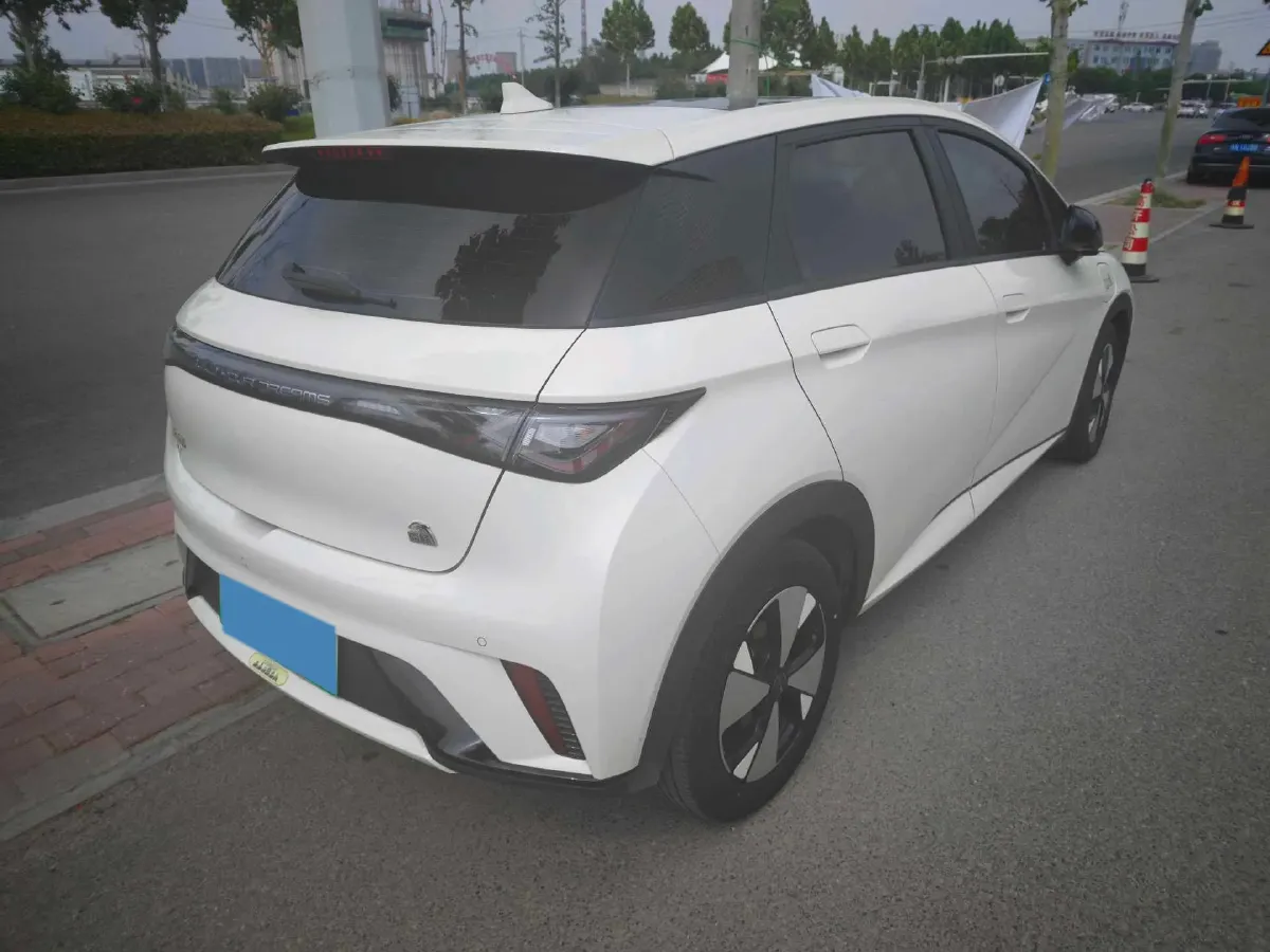2023 BYD Dolphin BEV 44.928KWH,autocango,china used car exporter,china ev exporter,chinese used car exporter,chinese used ev exporter