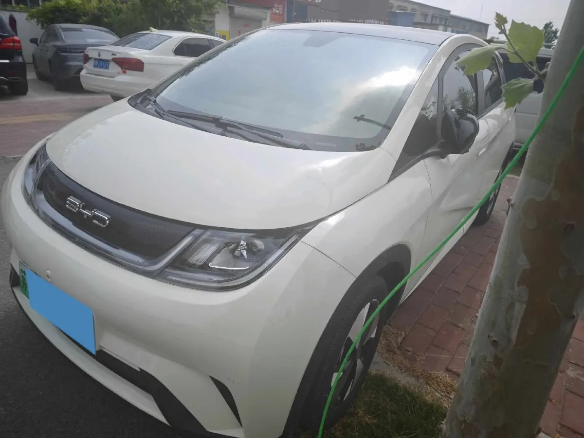 2023 BYD Dolphin BEV 44.928KWH,autocango,china used car exporter,china ev exporter,chinese used car exporter,chinese used ev exporter