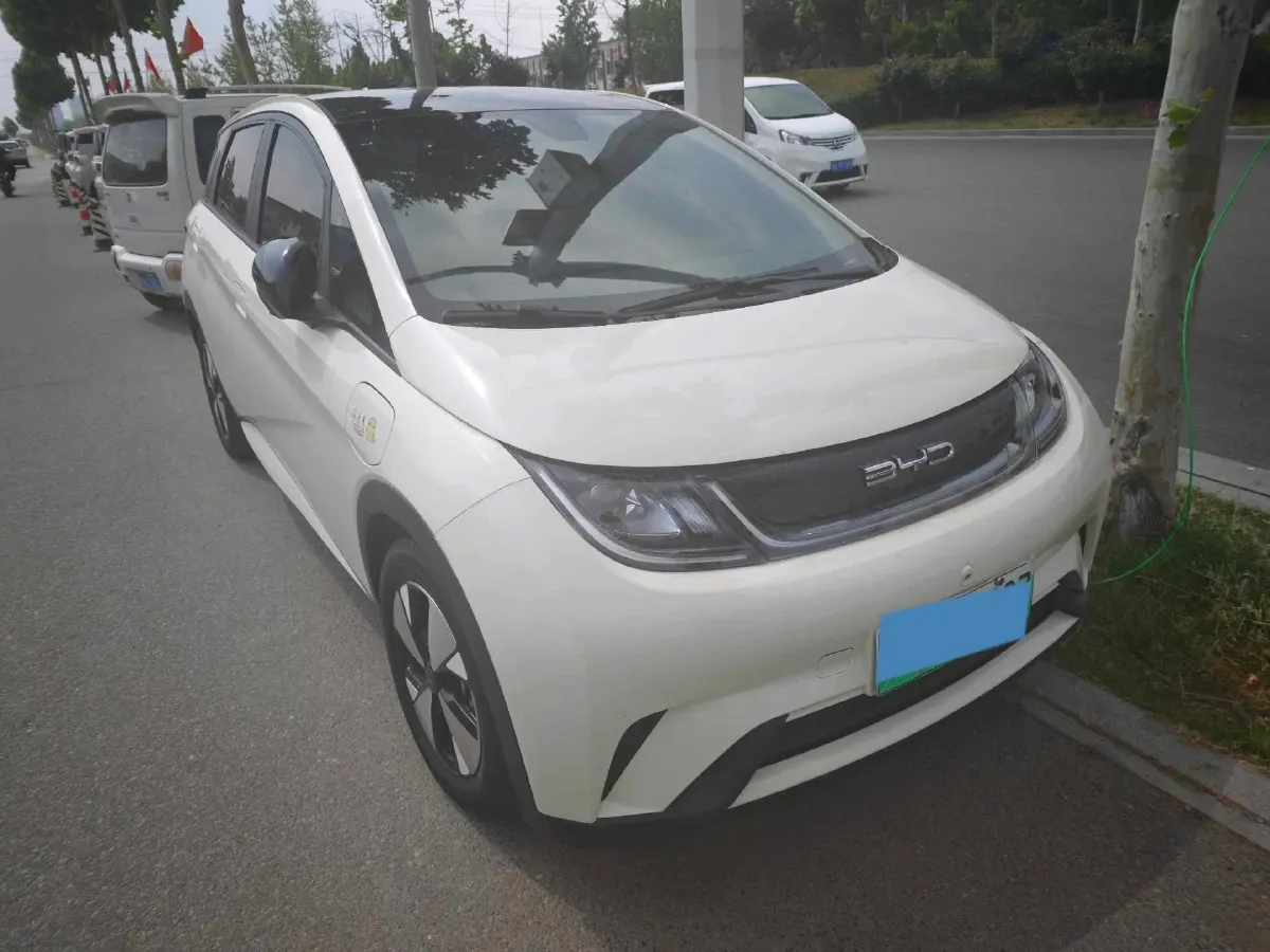 2023 BYD Dolphin BEV 44.928KWH,autocango,china used car exporter,china ev exporter,chinese used car exporter,chinese used ev exporter