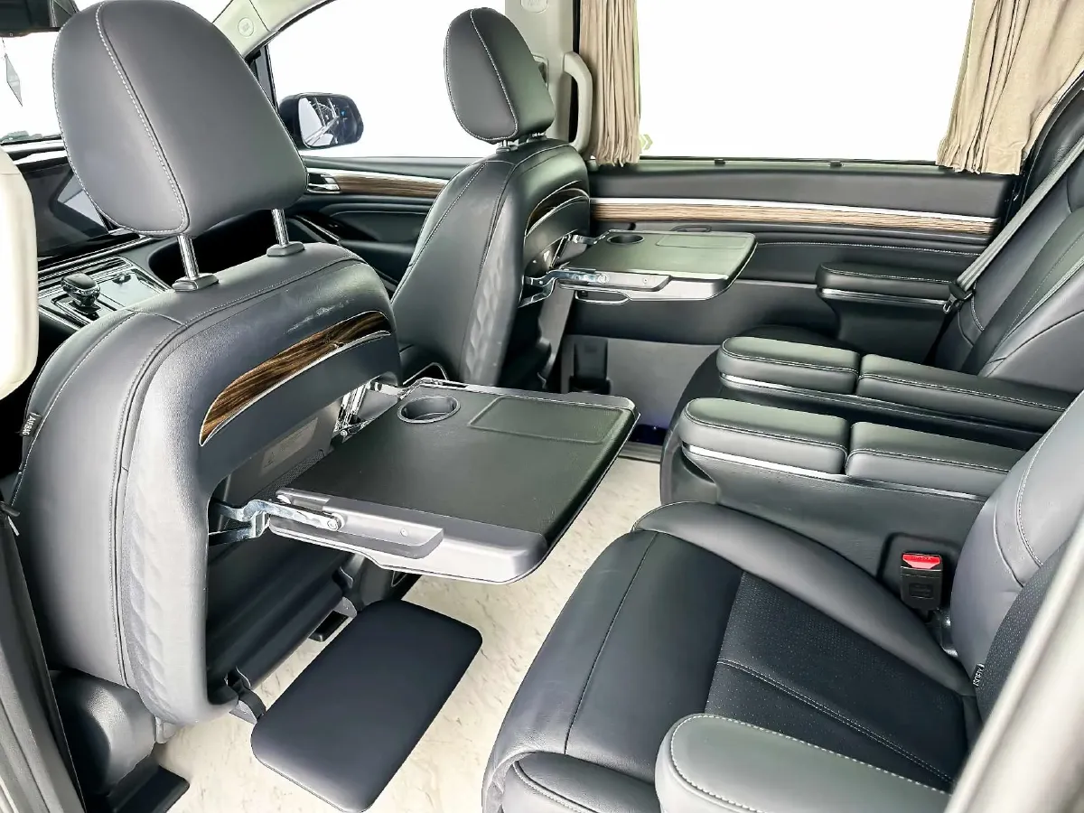 2021 GAC Trumpchi M8 2.0T 252HP L4 8AT,autocango,china used car exporter,china ev exporter,chinese used car exporter,chinese used ev exporter