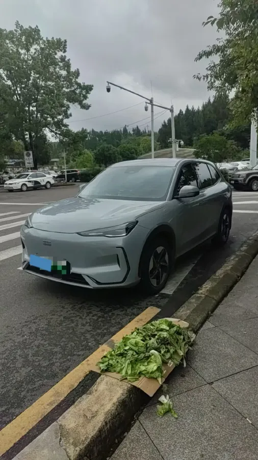 2024 YuanChen Super Van BEV 51KWH,autocango,china used car exporter,china ev exporter,chinese used car exporter,chinese used ev exporter