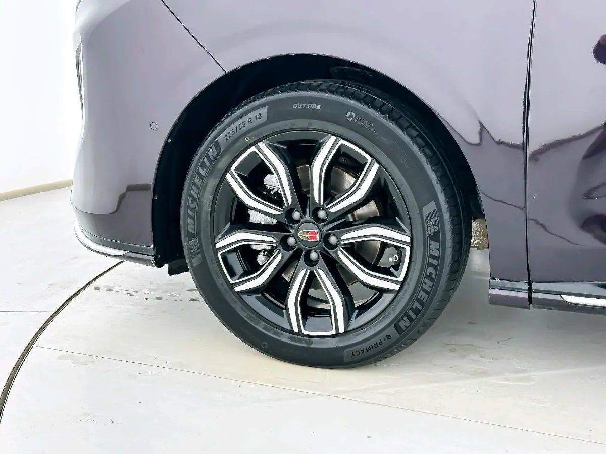 2023 HongQi HQ9 2.0T 252HP L4 8AT,autocango,china used car exporter,china ev exporter,chinese used car exporter,chinese used ev exporter