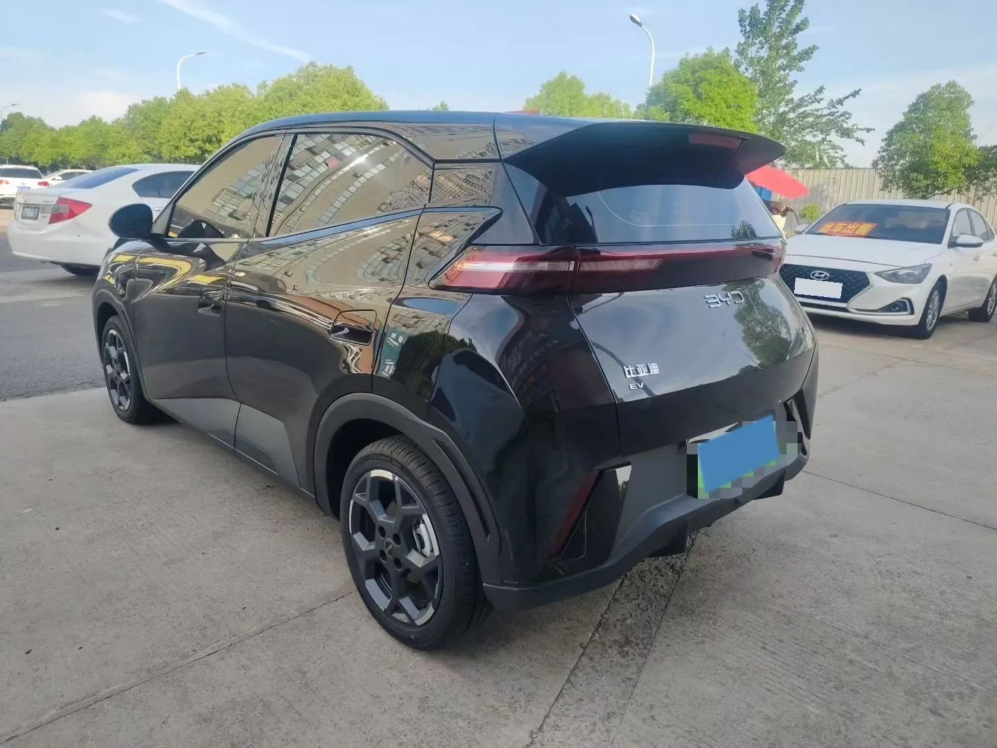 miniatura 9