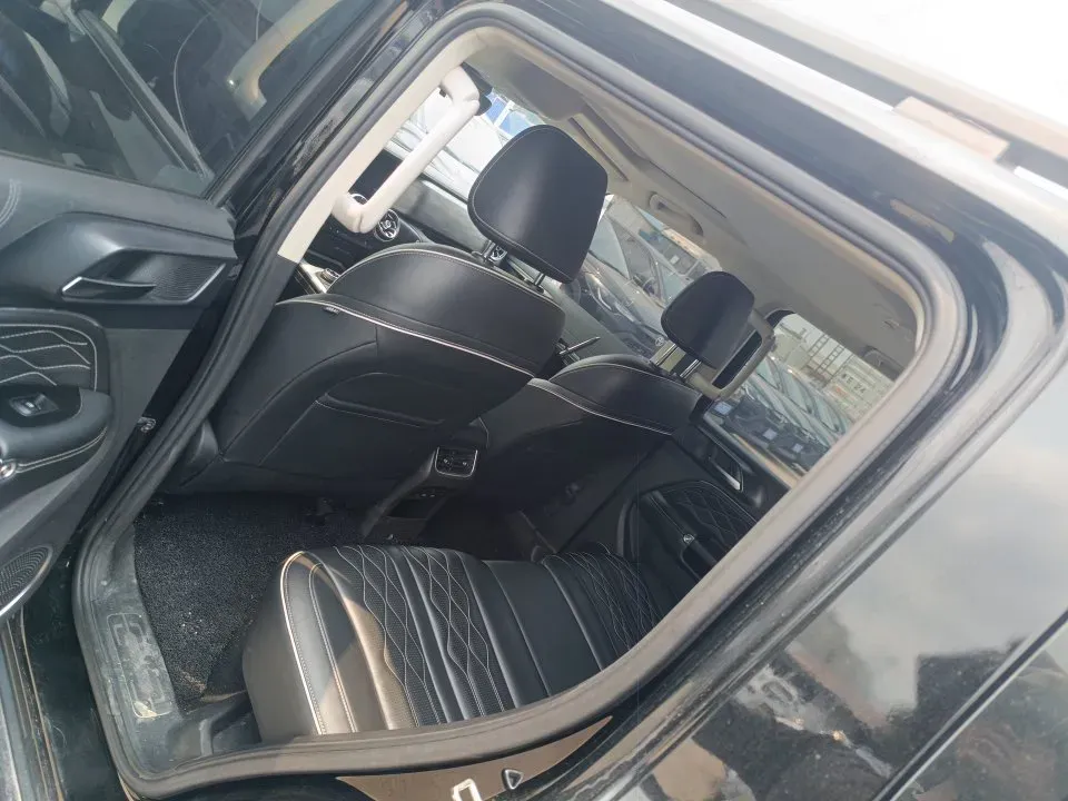 2023 Tank 300 2.0T 227HP L4 8AT,autocango,china used car exporter,china ev exporter,chinese used car exporter,chinese used ev exporter