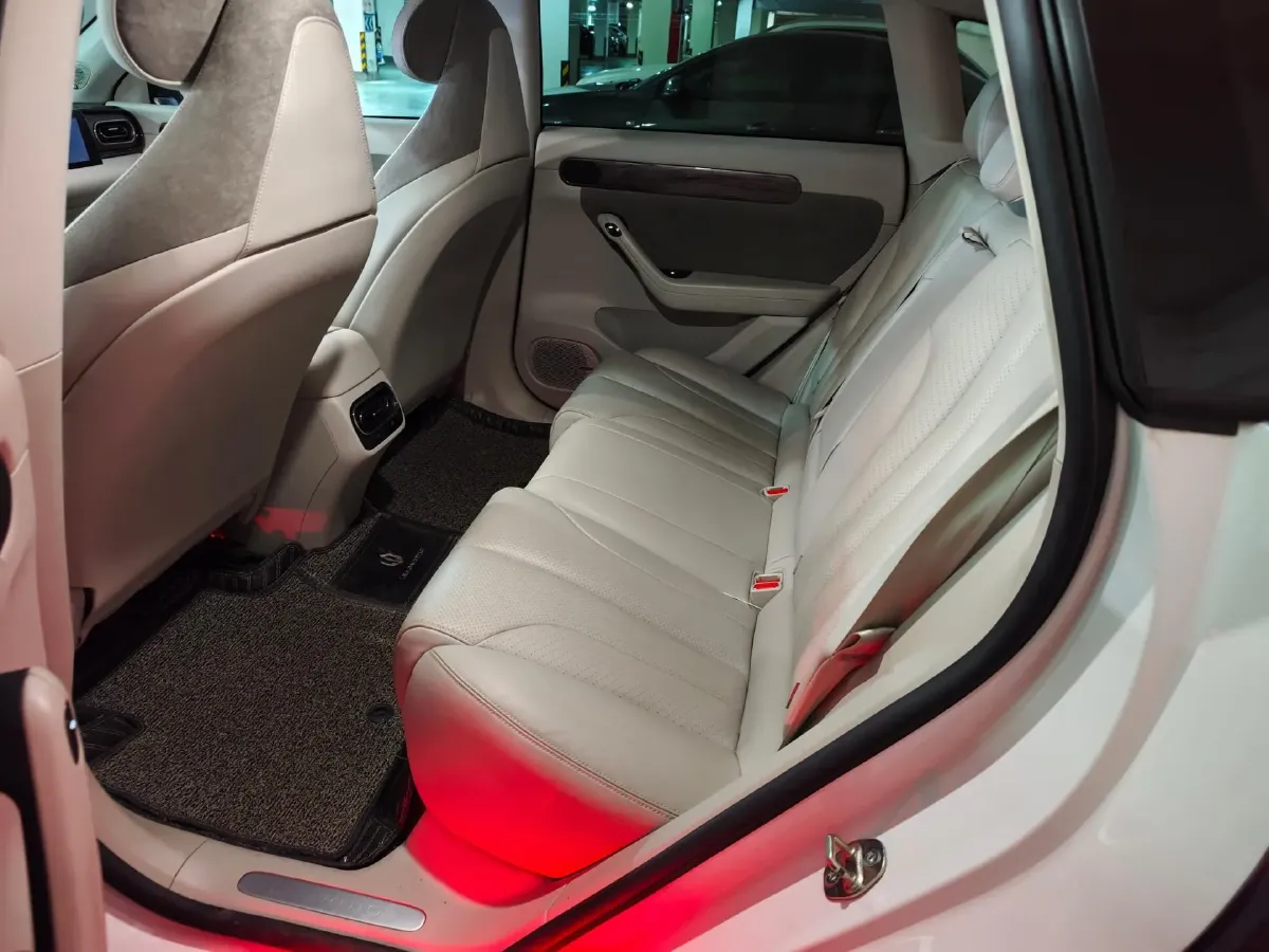 2021 Leapmotor C11 BEV 76.6KWH,autocango,china used car exporter,china ev exporter,chinese used car exporter,chinese used ev exporter