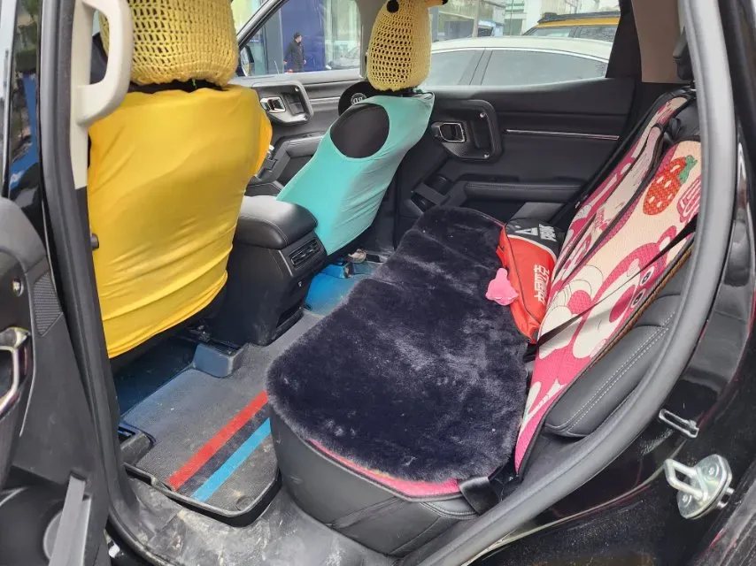 2023 Haval Dargo PLUS 2.0T 238HP L4 9DCT,autocango,china used car exporter,china ev exporter,chinese used car exporter,chinese used ev exporter