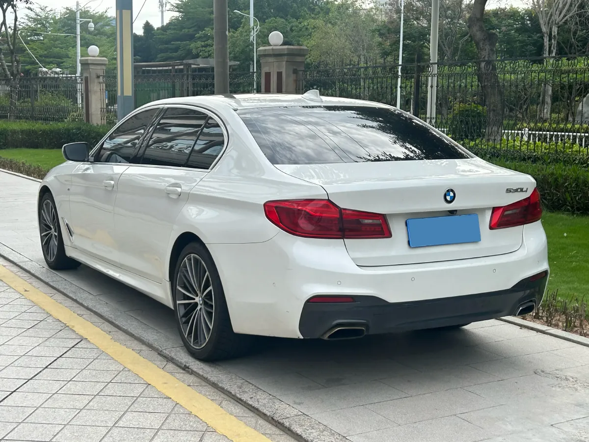 2020 BMW 5 Series 2.0T 252HP L4 8AT,autocango,china used car exporter,china ev exporter,chinese used car exporter,chinese used ev exporter