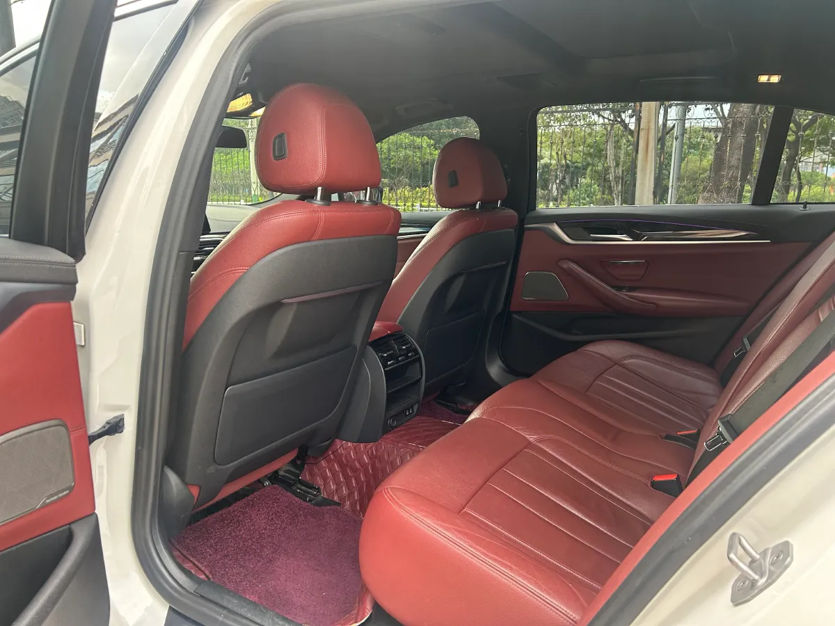 2020 BMW 5 Series 2.0T 252HP L4 8AT,autocango,china used car exporter,china ev exporter,chinese used car exporter,chinese used ev exporter