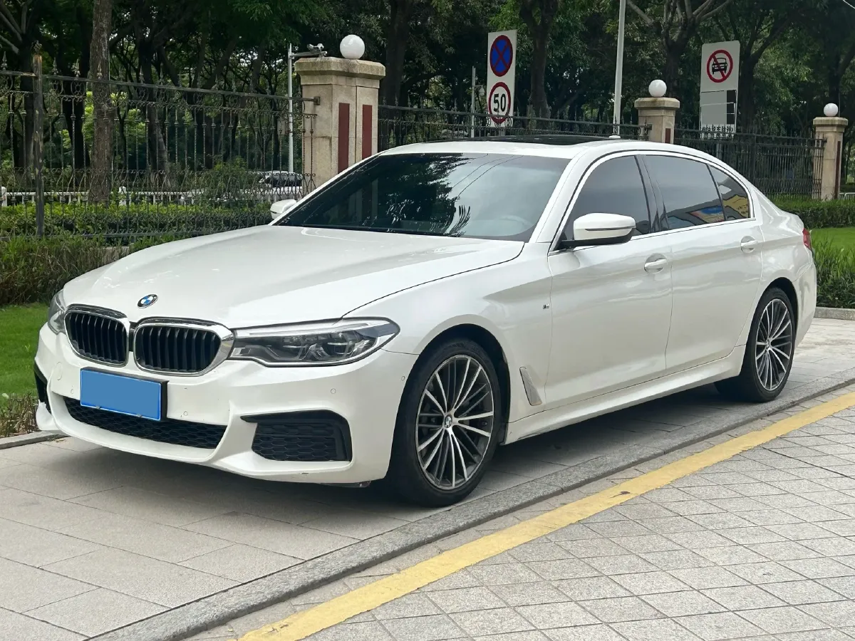 2020 BMW 5 Series 2.0T 252HP L4 8AT,autocango,china used car exporter,china ev exporter,chinese used car exporter,chinese used ev exporter