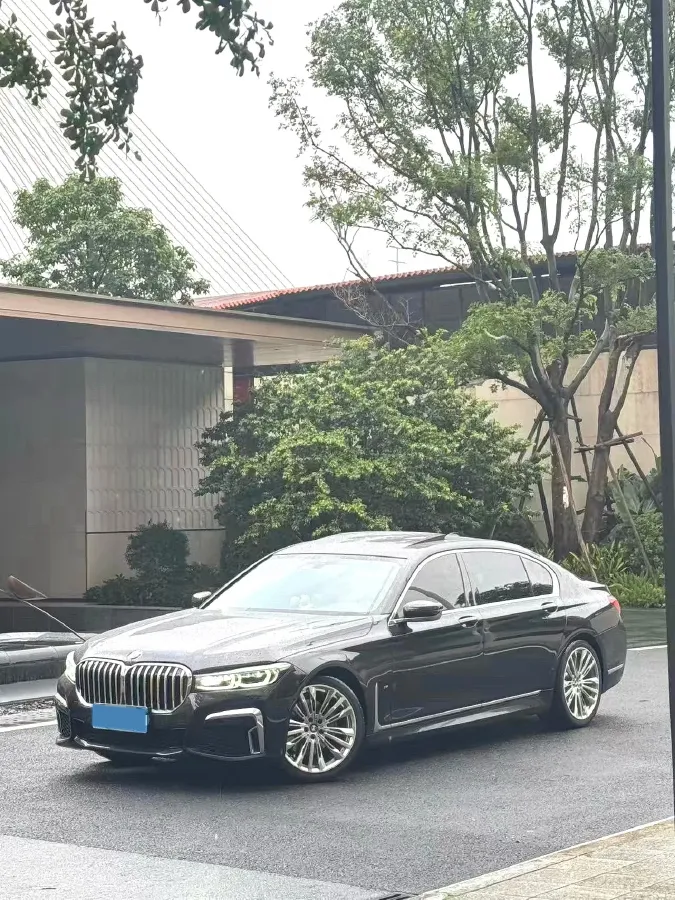 2019 BMW 7 Series 2.0T 265HP L4 8AT,autocango,china used car exporter,china ev exporter,chinese used car exporter,chinese used ev exporter