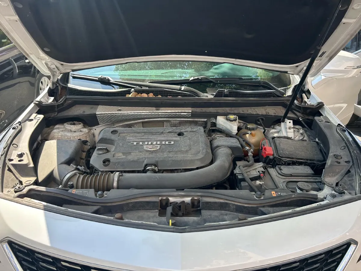 2021 Cadillac XT4 2.0T 237HP L4 9AT,autocango,china used car exporter,china ev exporter,chinese used car exporter,chinese used ev exporter
