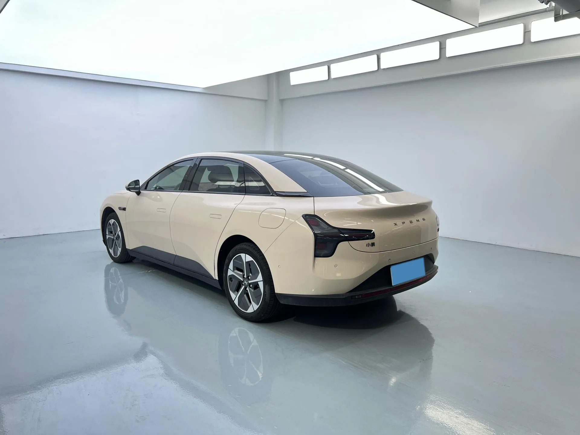 miniatura 10