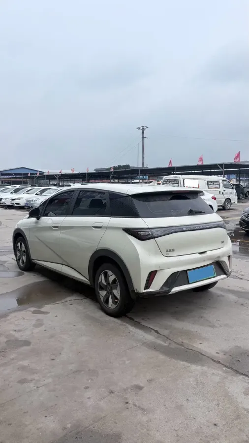 2025 BYD Dolphin BEV 44.928KWH,autocango,china used car exporter,china ev exporter,chinese used car exporter,chinese used ev exporter