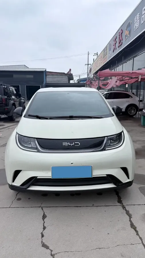 2025 BYD Dolphin BEV 44.928KWH,autocango,china used car exporter,china ev exporter,chinese used car exporter,chinese used ev exporter