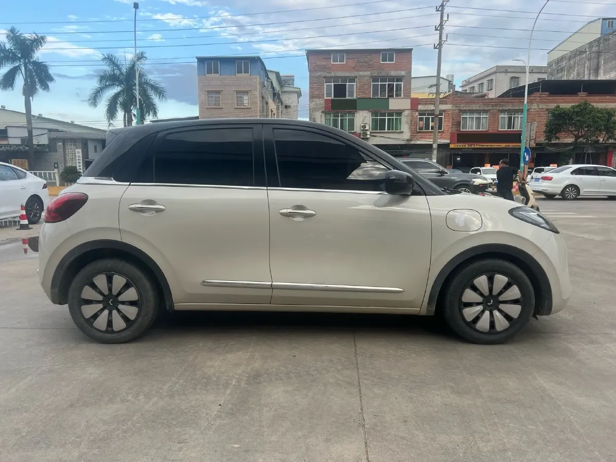 2023 WuLing BinGuo BEV 17.3KWH,autocango,china used car exporter,china ev exporter,chinese used car exporter,chinese used ev exporter
