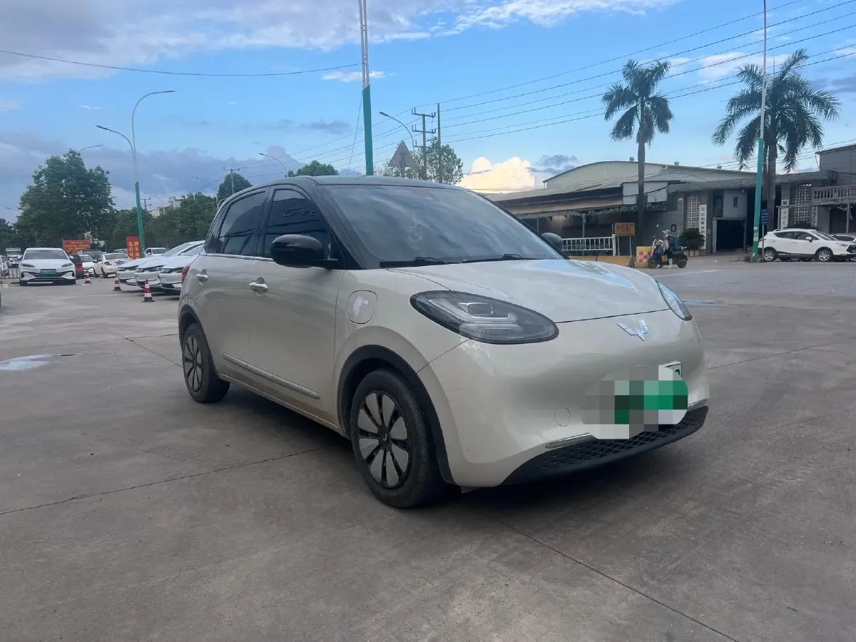 2023 WuLing BinGuo BEV 17.3KWH,autocango,china used car exporter,china ev exporter,chinese used car exporter,chinese used ev exporter