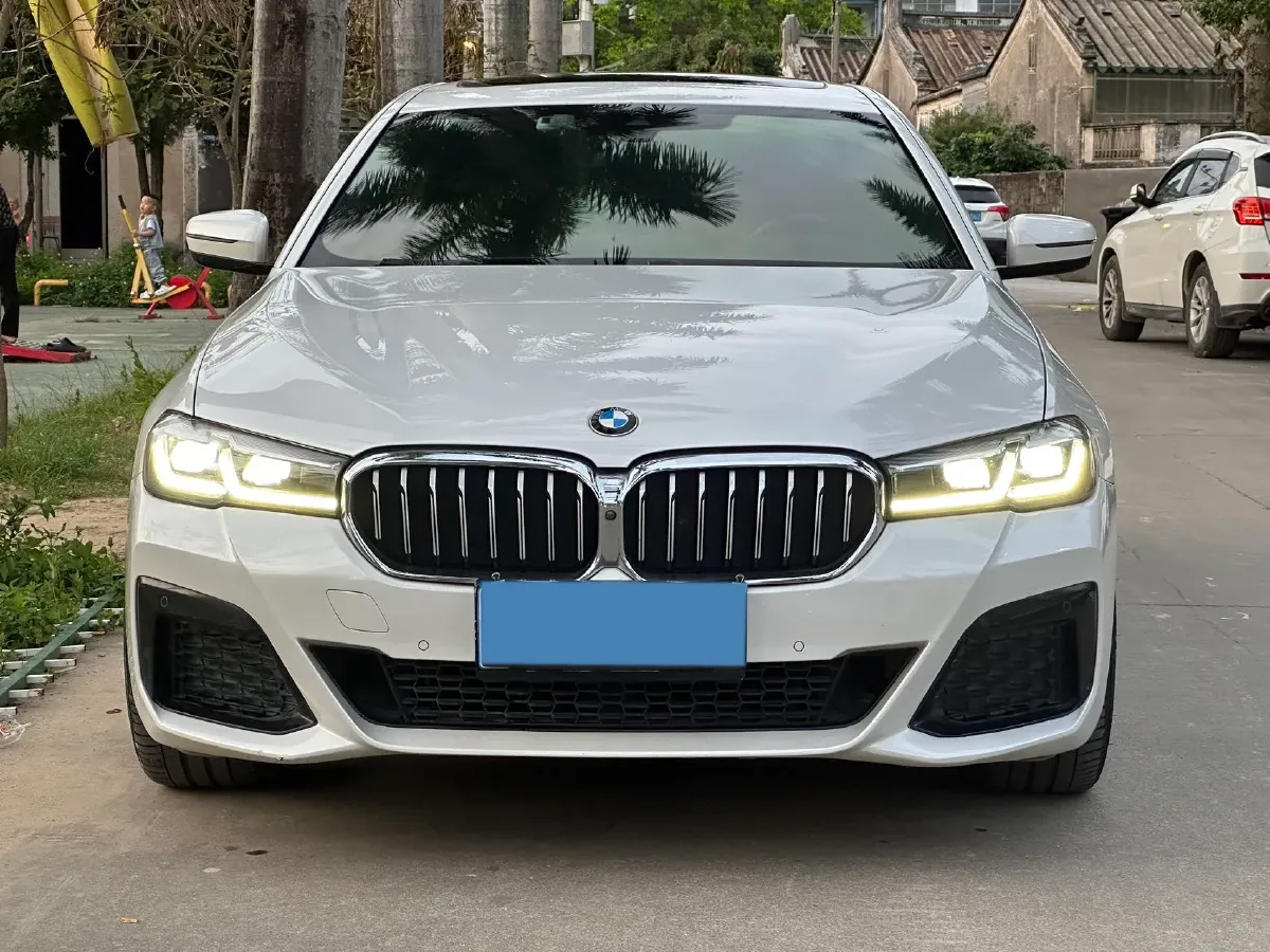 2021 BMW 5 Series 2.0T 252HP L4 8AT,autocango,china used car exporter,china ev exporter,chinese used car exporter,chinese used ev exporter