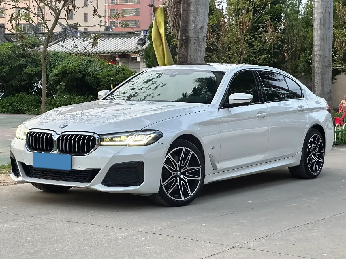 2021 BMW 5 Series 2.0T 252HP L4 8AT,autocango,china used car exporter,china ev exporter,chinese used car exporter,chinese used ev exporter