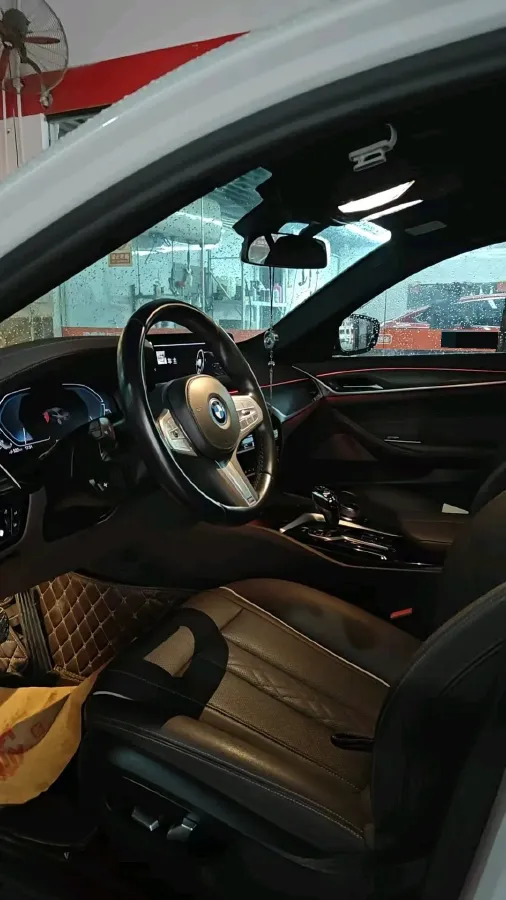 2022 BMW 5 Series 2.0T 184HP L4 8AT PHEV 17.7KWH,autocango,china used car exporter,china ev exporter,chinese used car exporter,chinese used ev exporter