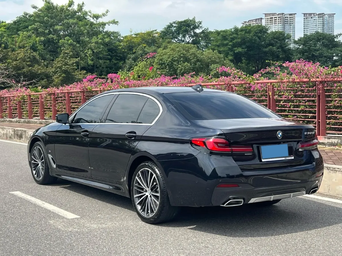 2022 BMW 5 Series 2.0T 184HP L4 8AT,autocango,china used car exporter,china ev exporter,chinese used car exporter,chinese used ev exporter