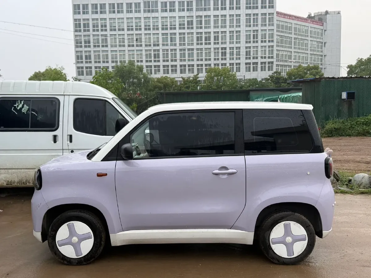 2024 ZD Rainbow BEV 17.3KWH,autocango,china used car exporter,china ev exporter,chinese used car exporter,chinese used ev exporter