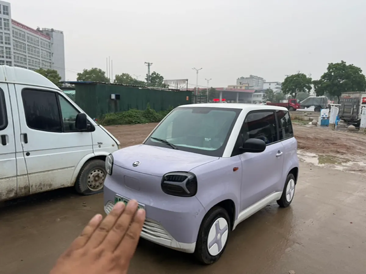 2024 ZD Rainbow BEV 17.3KWH,autocango,china used car exporter,china ev exporter,chinese used car exporter,chinese used ev exporter
