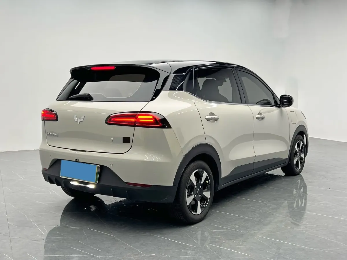 2024 WuLing BinGuoPLUS BEV 37.9KWH,autocango,china used car exporter,china ev exporter,chinese used car exporter,chinese used ev exporter