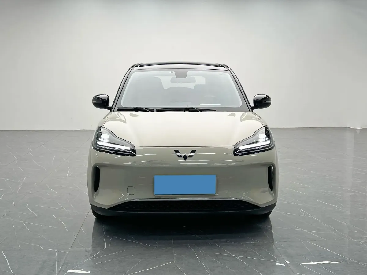 2024 WuLing BinGuoPLUS BEV 37.9KWH,autocango,china used car exporter,china ev exporter,chinese used car exporter,chinese used ev exporter