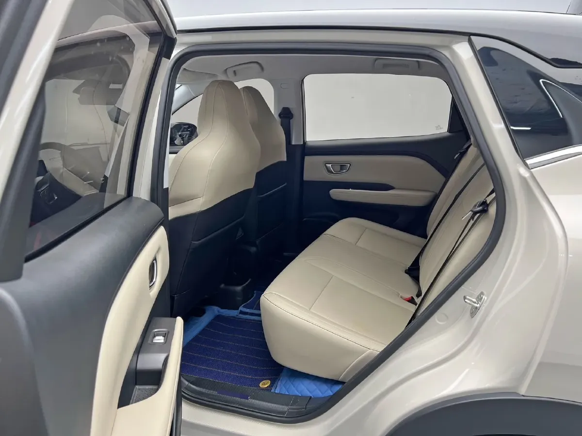 2024 WuLing BinGuoPLUS BEV 37.9KWH,autocango,china used car exporter,china ev exporter,chinese used car exporter,chinese used ev exporter