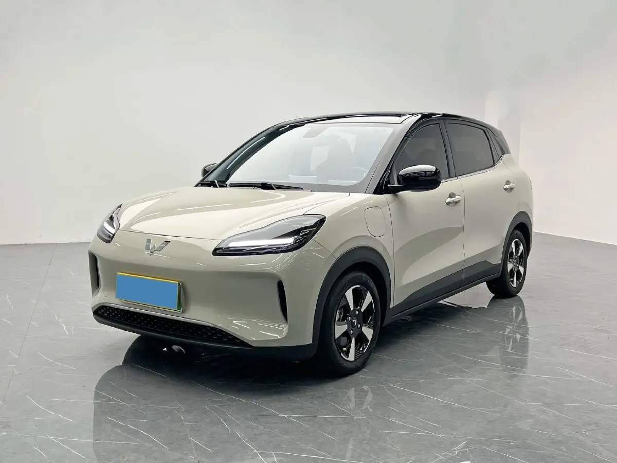 2024 WuLing BinGuoPLUS BEV 37.9KWH,autocango,china used car exporter,china ev exporter,chinese used car exporter,chinese used ev exporter