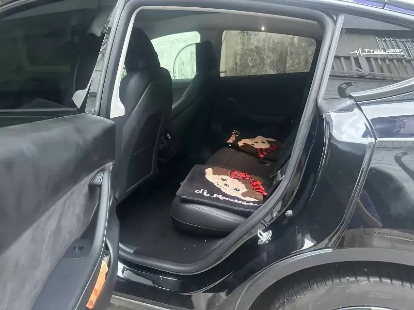2022 Tesla Model Y BEV 60KWH,autocango,china used car exporter,china ev exporter,chinese used car exporter,chinese used ev exporter