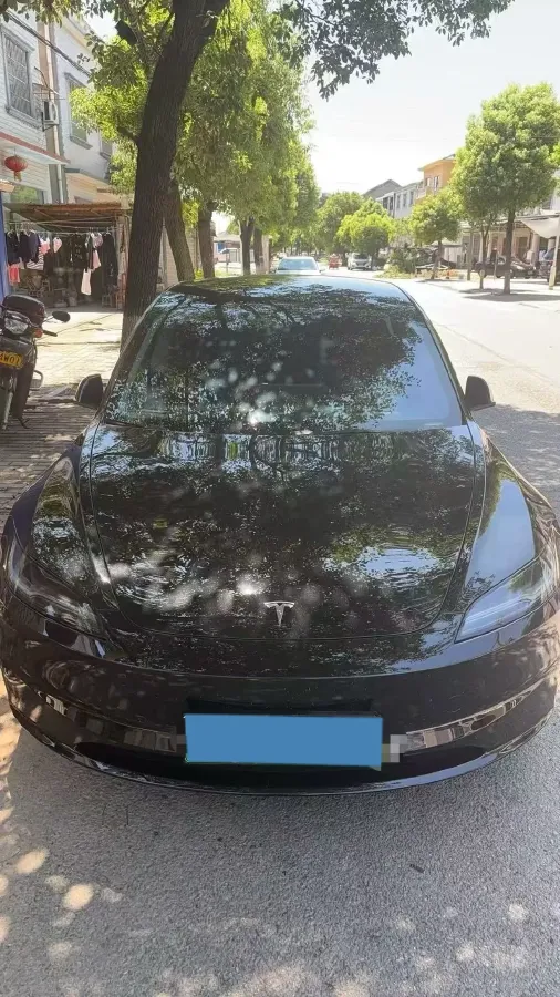 2025 Tesla Model 3 BEV,autocango,china used car exporter,china ev exporter,chinese used car exporter,chinese used ev exporter